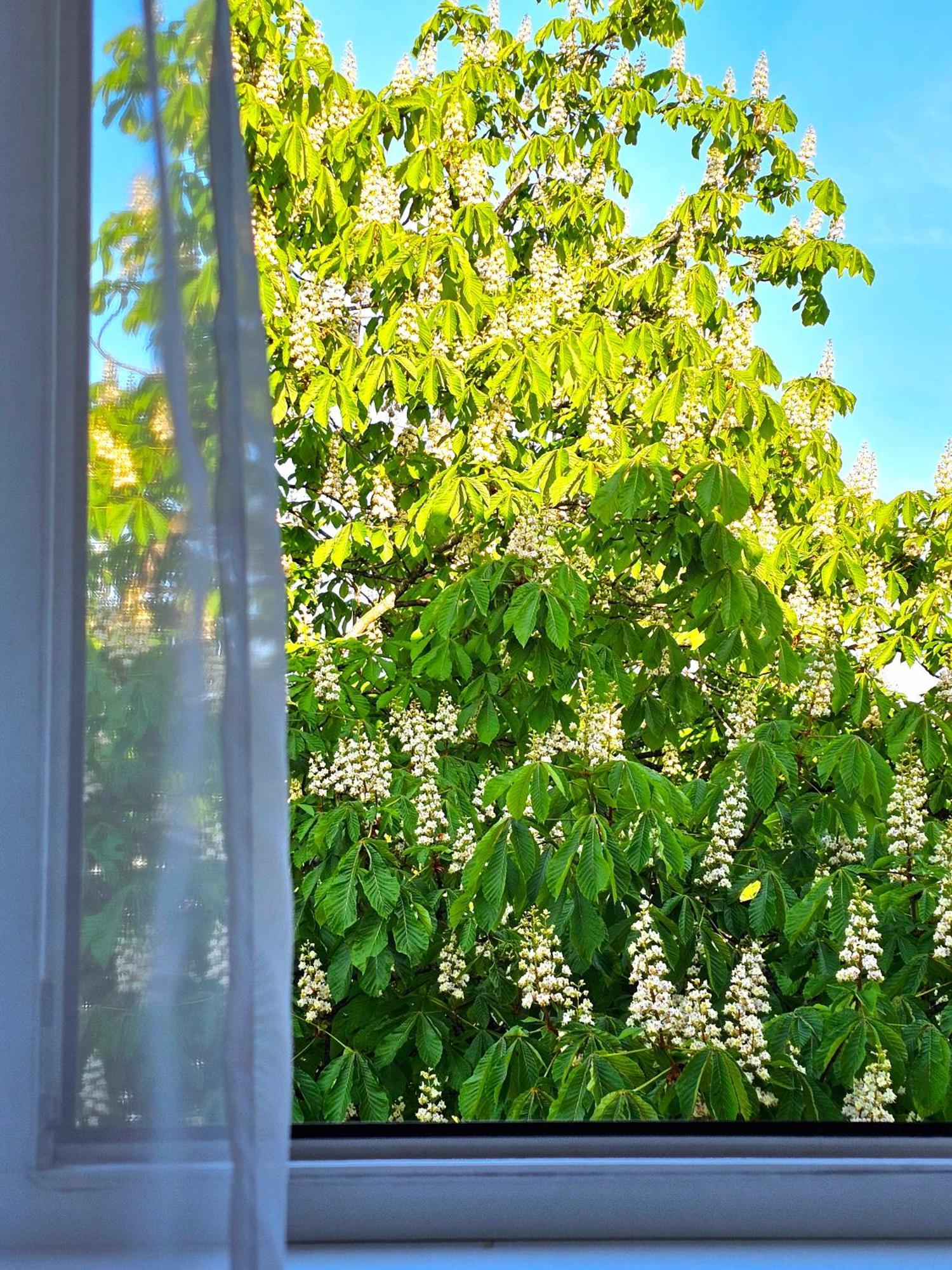 Apartamentai 76 Druskininkai Exterior foto